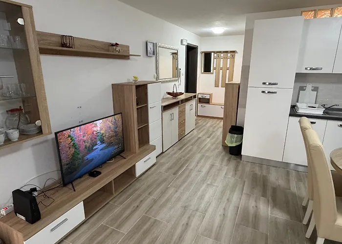 Near Center Apartment Split